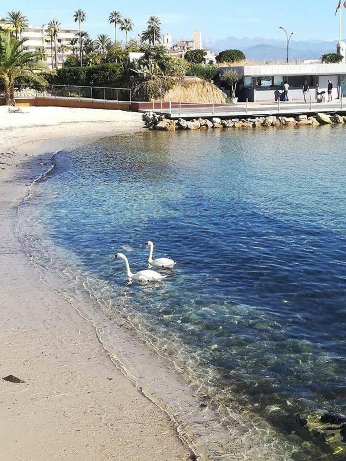 Studio Standing Bord De Mer Et Vue Antibes Luaran gambar